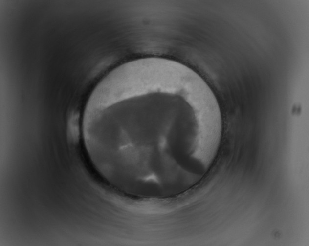 X0000102840020200809081230