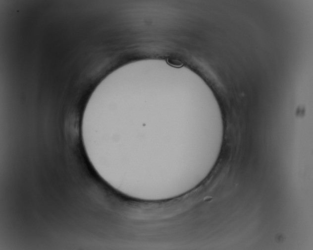 X0000102840021200809081230