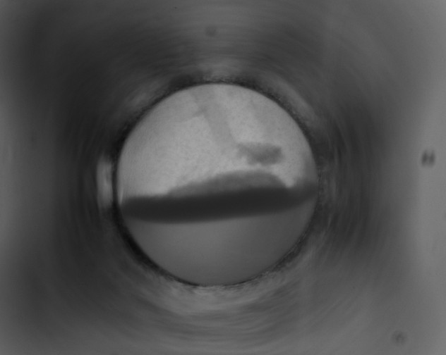 X0000102840022200809081230