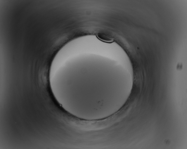 X0000102840023200809081230