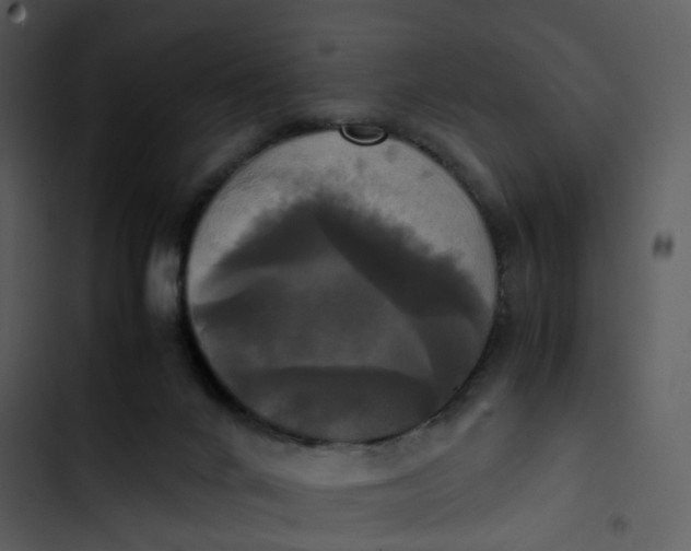 X0000102840024200809081230