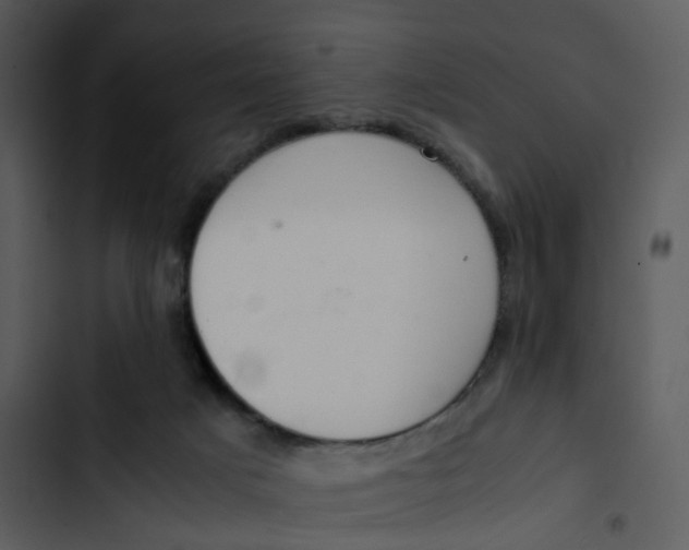 X0000102840025200809081230