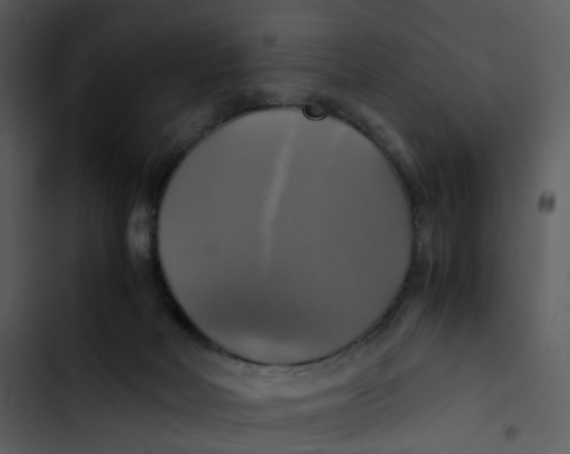 X0000102840026200809081230