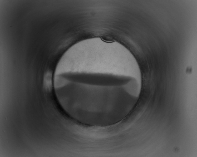 X0000102840028200809081230