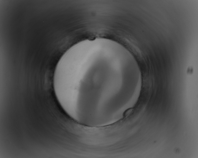 X0000102840030200809081230