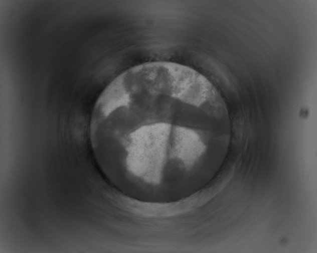 X0000102840034200809081230