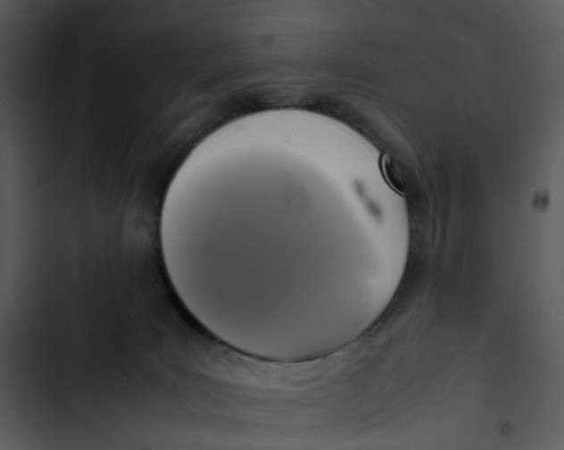 X0000102840035200809081230