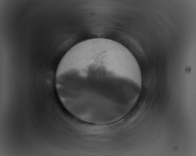 X0000102840036200809081230