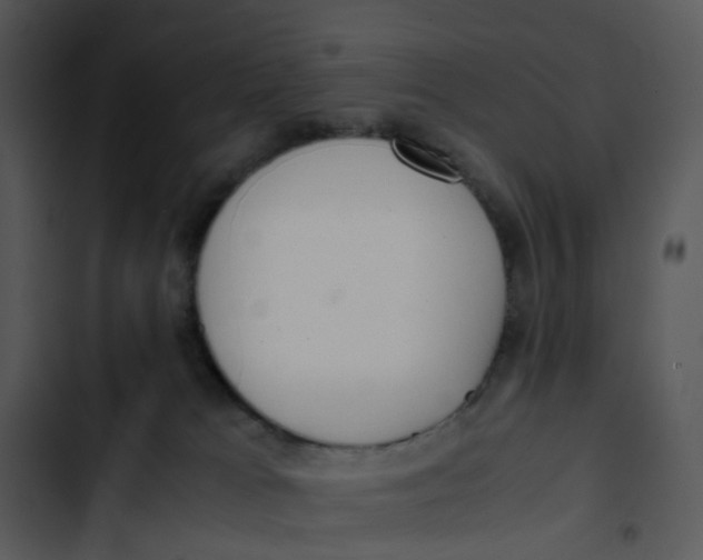 X0000102840037200809081230