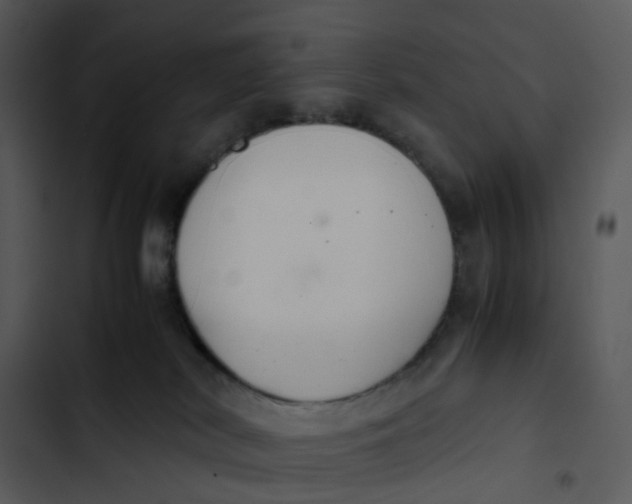 X0000102840038200809081230