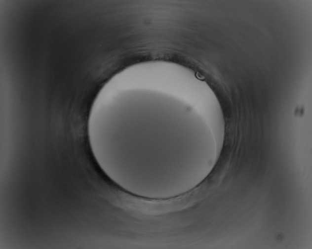 X0000102840039200809081230