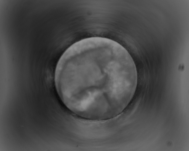 X0000102840040200809081230