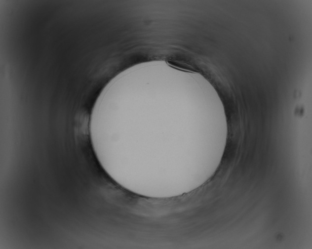 X0000102840041200809081230