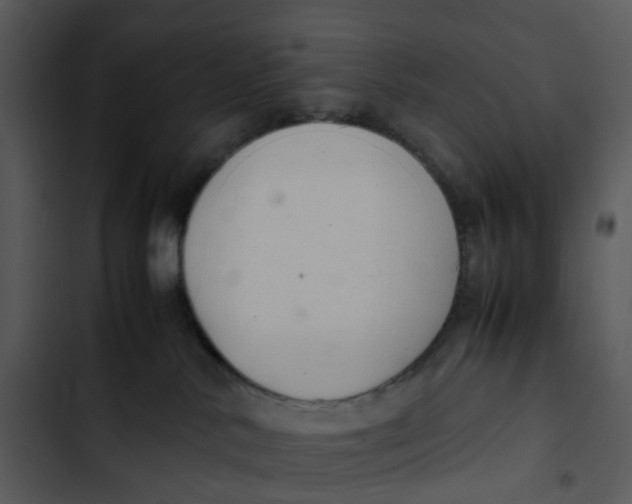 X0000102840042200809081230