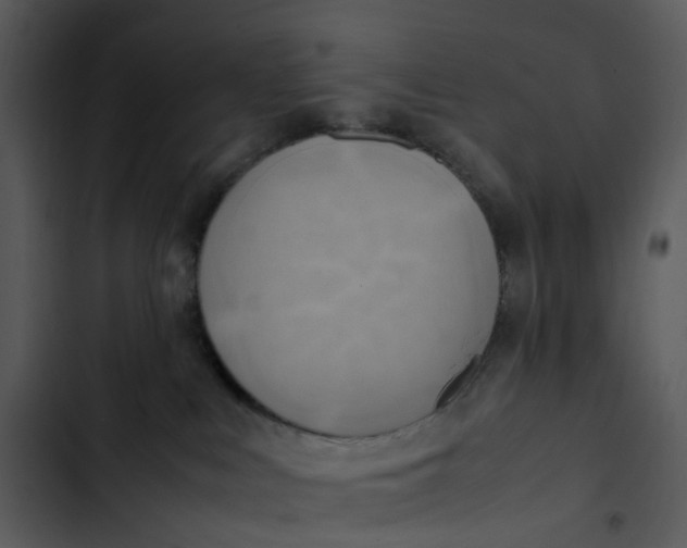 X0000102840043200809081230