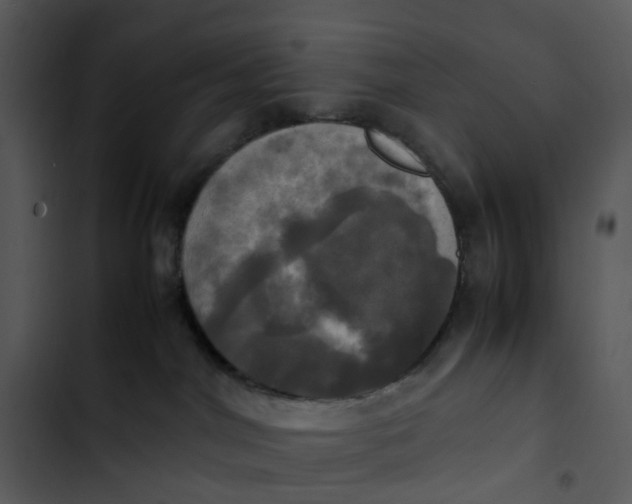 X0000102840044200809081230