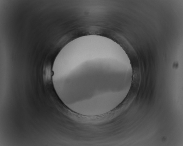 X0000102840046200809081230