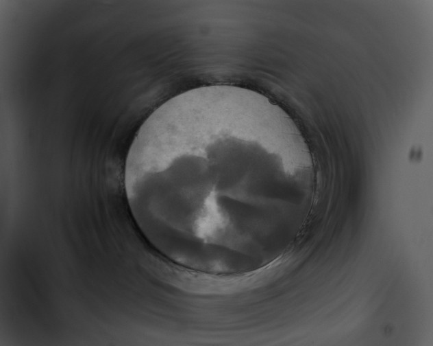 X0000102840048200809081230