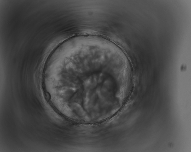 X0000102840049200809081229