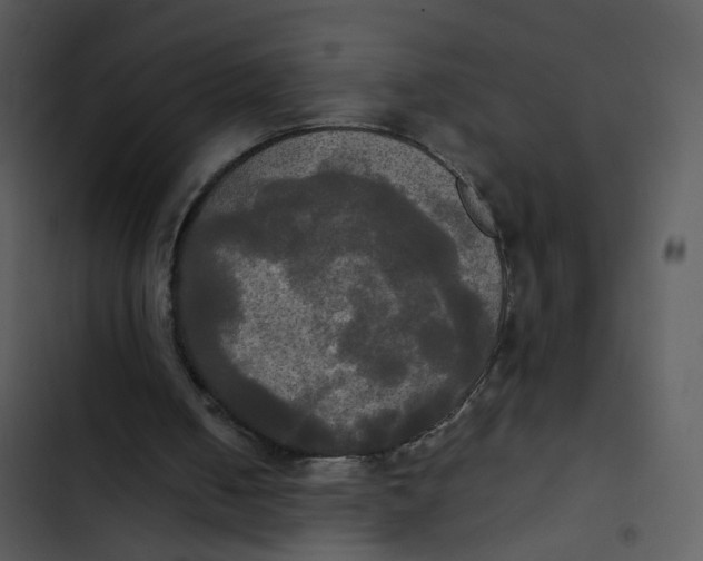 X0000102840050200809081229