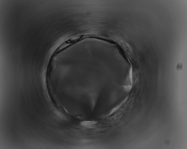 X0000102840051200809081229