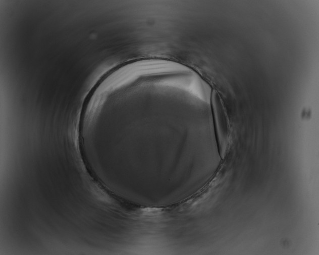 X0000102840052200809081229