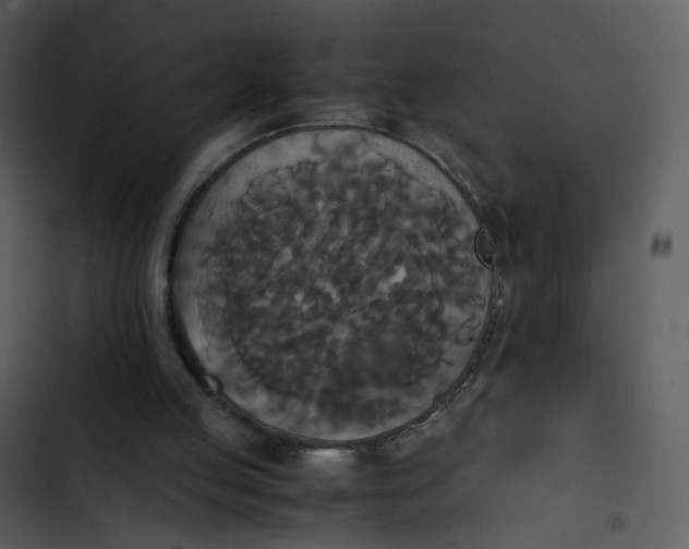 X0000102840053200809081229