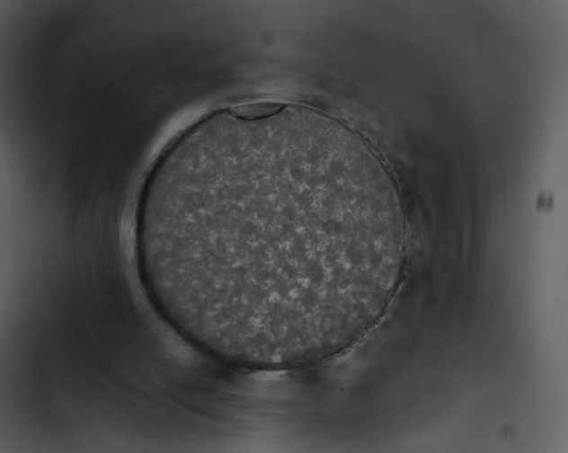 X0000102840054200809081229