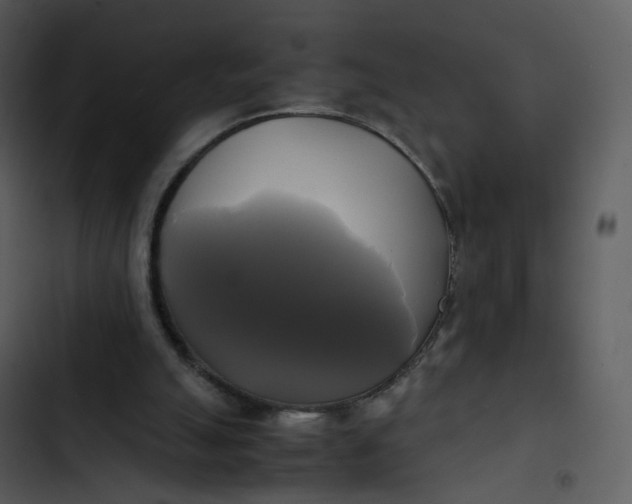 X0000102840055200809081229