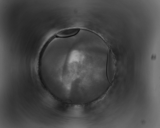 X0000102840056200809081229