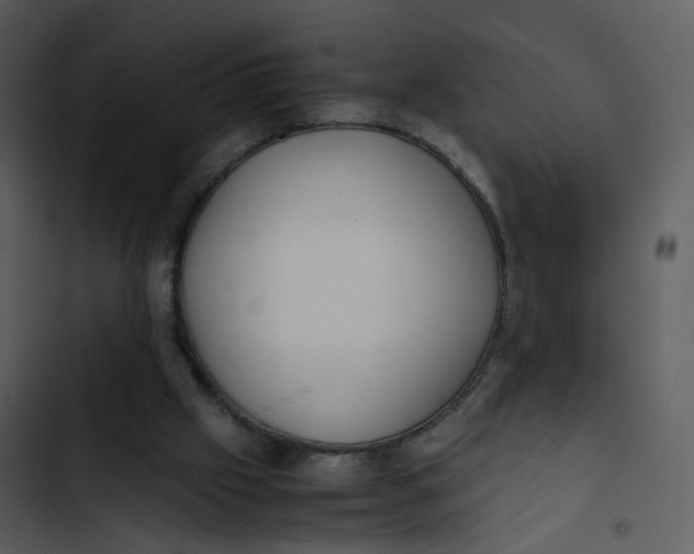 X0000102840057200809081229