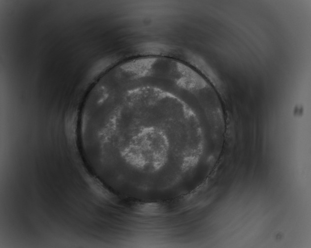 X0000102840058200809081229