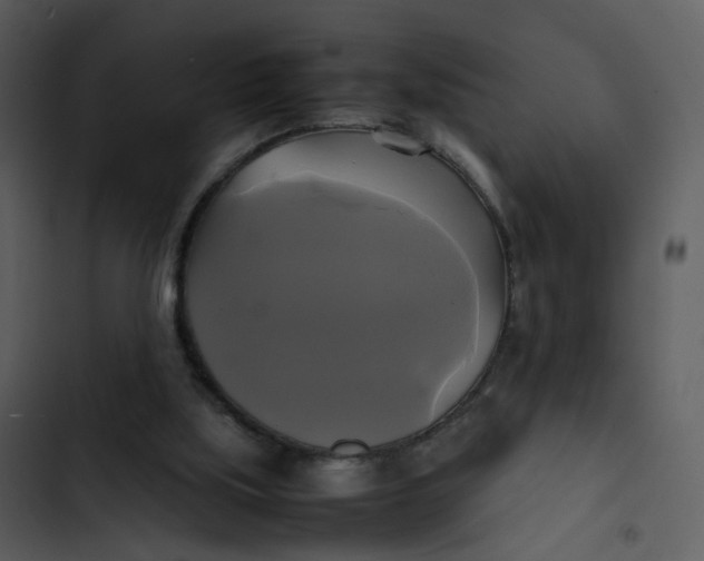 X0000102840059200809081229