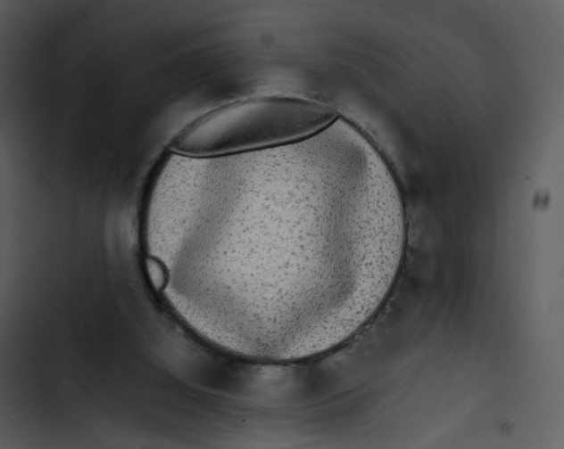 X0000102840060200809081229