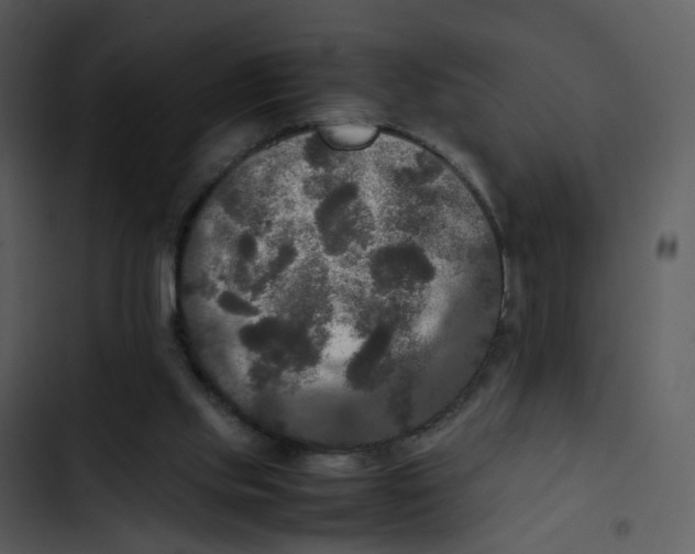 X0000102840061200809081229