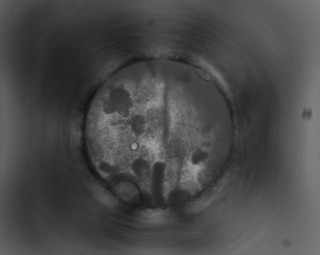 X0000102840065200809081229