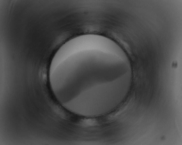 X0000102840067200809081229