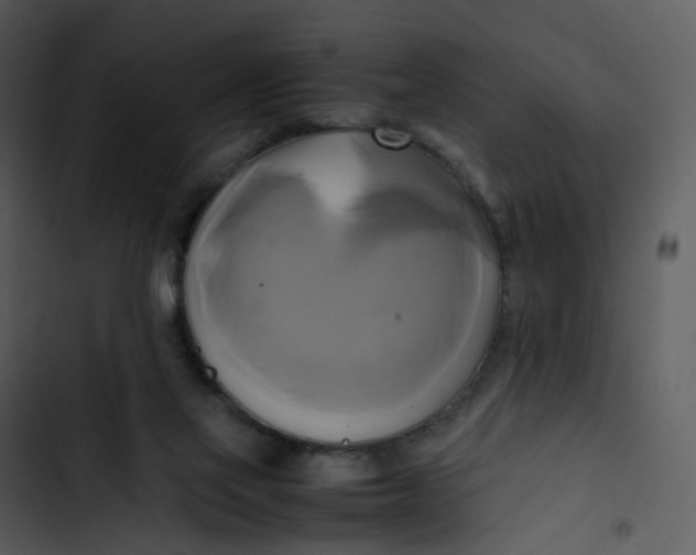 X0000102840069200809081229