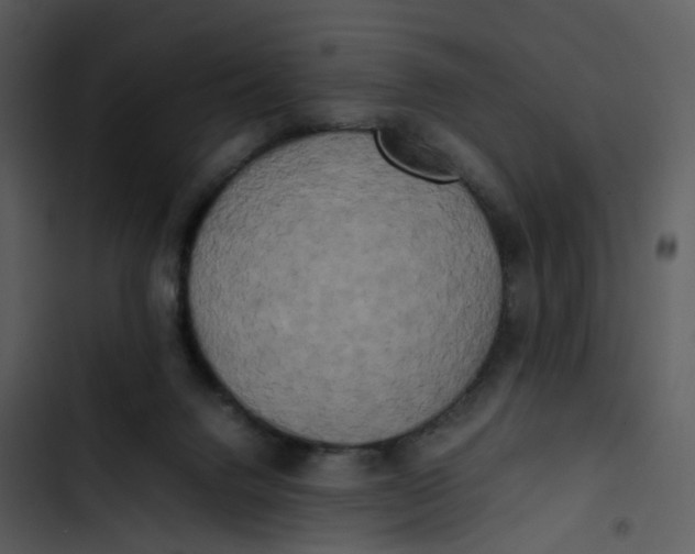 X0000102840072200809081230