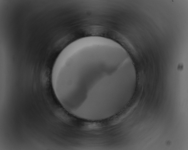 X0000102840073200809081230