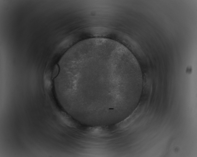 X0000102840074200809081230