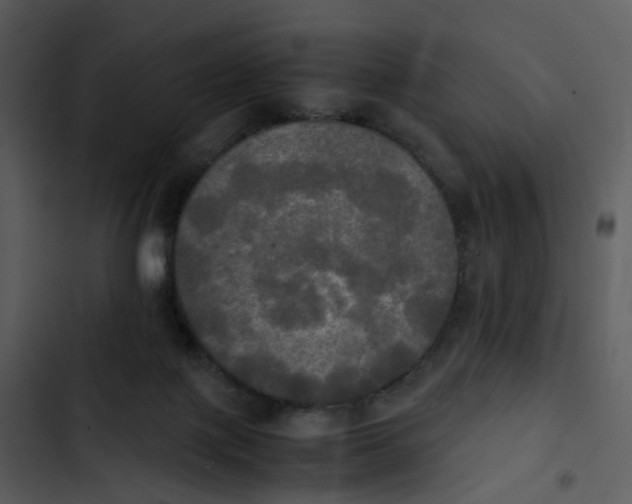 X0000102840075200809081230