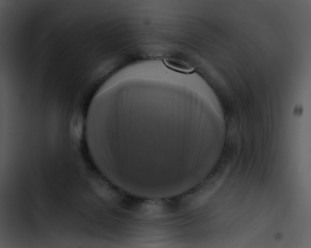 X0000102840076200809081230