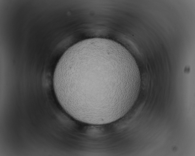 X0000102840077200809081230