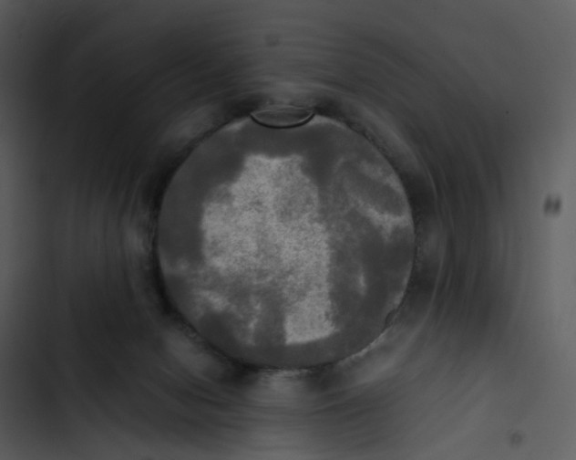 X0000102840078200809081230