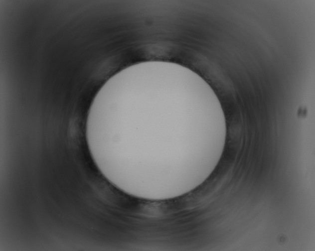 X0000102840079200809081230