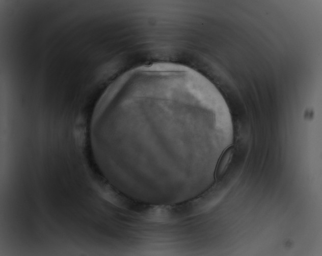 X0000102840080200809081230