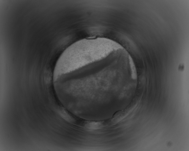 X0000102840081200809081230