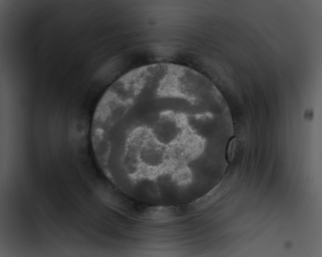 X0000102840082200809081230