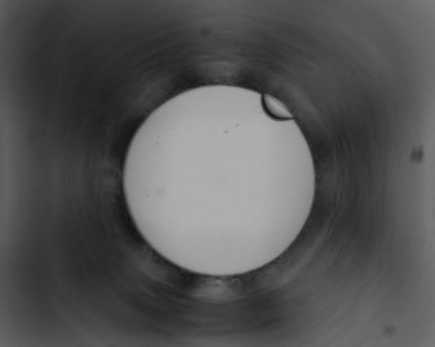 X0000102840083200809081230